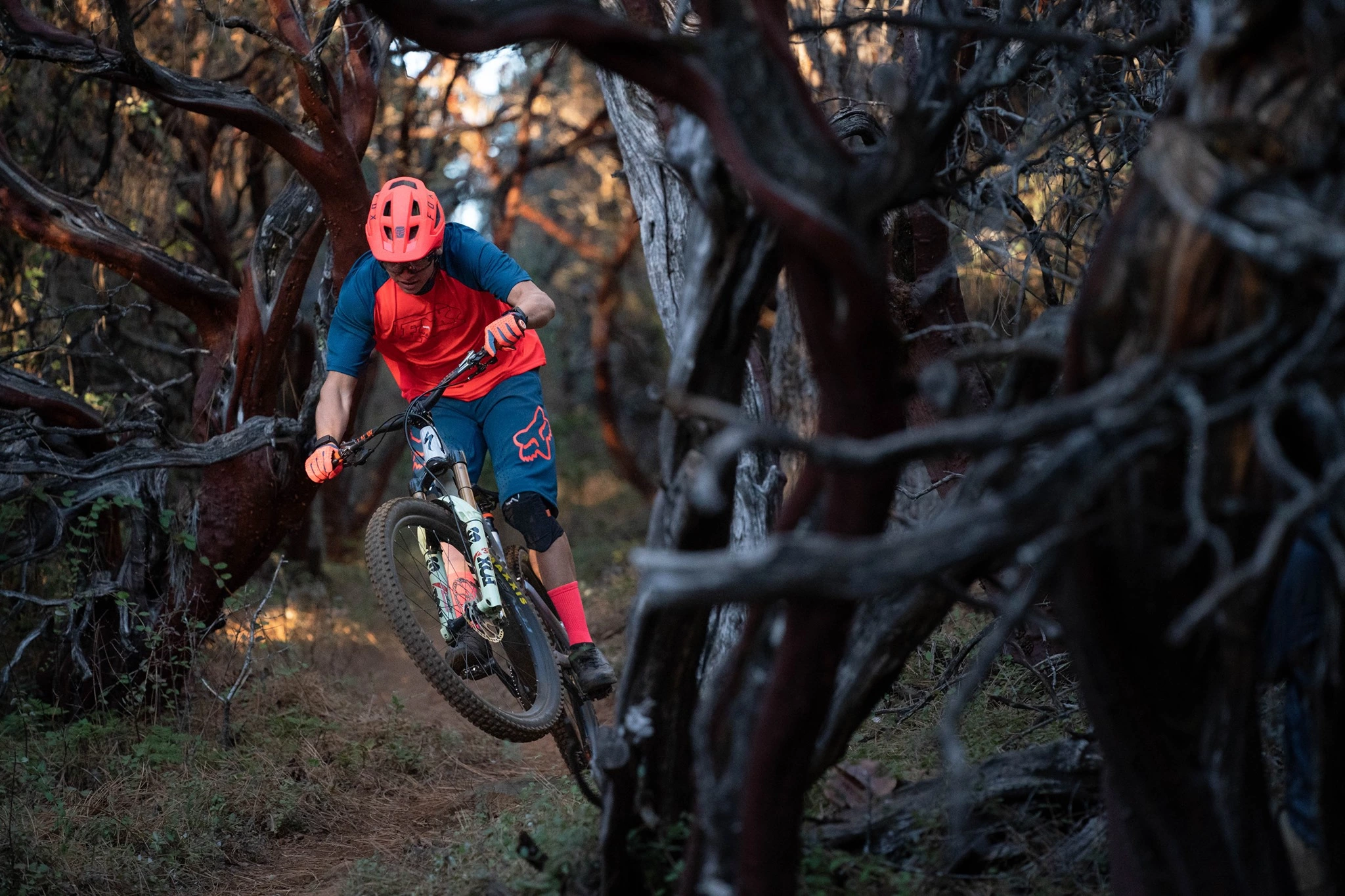 Prima pagina -Vendite Ricambi E-MTB 175294477 4186527414711593 4024383466535347694 n